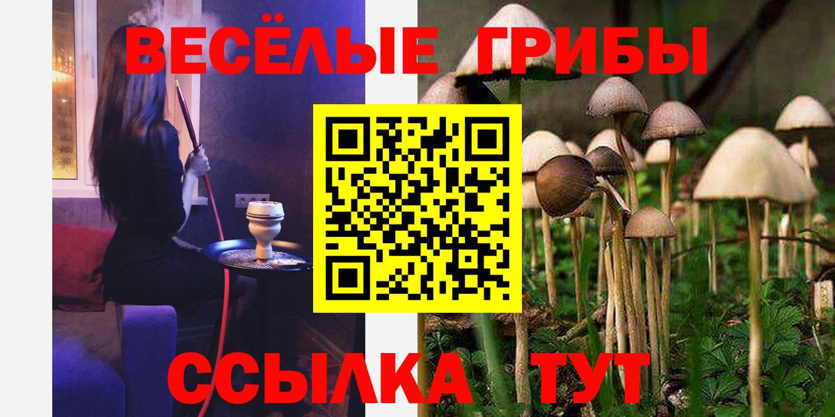 Псилоцибиновые грибы мухоморы  Вход с VPN  Барнаул  цены наркотик  Галлюциногенные грибы прущие грибы 